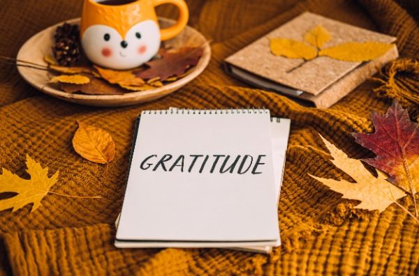 Eliza's blog: The Art of Gratitude