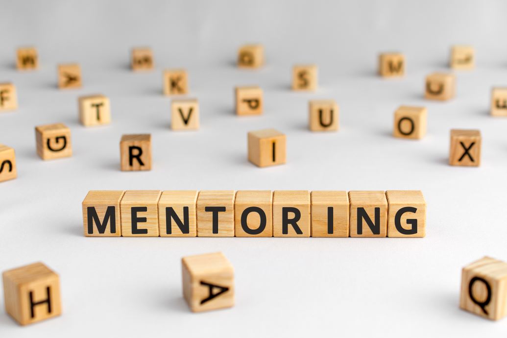 What Qualities and Skills Do Mentors Typically Possess?